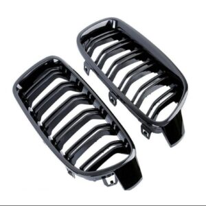 BMW F30 Grills (Left or Right)