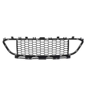 BMW F30 Sport Center Grill